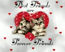 Forever Friends