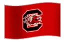 Gamecock Flag