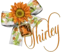 Shirley