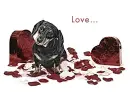 love dog