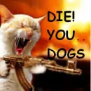Die dogs