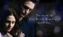 You are my life