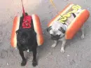"hotdogs"