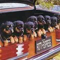 cuteee