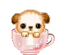 Cute Puppy in Cup