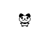 cute panda