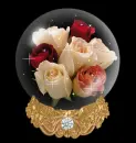 Roses Globe