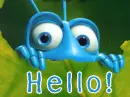 hello