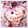 pink hand flower