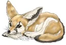 sad fox
