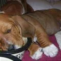 sleeping
