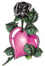 Black Rose Pink Heart