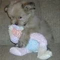 my toy