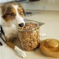 the cookie jar