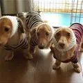 brrrrr!!!!
