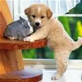 cuteee