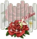 Wilma