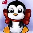 cute penguin