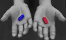 red or blue?