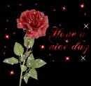 Rose-Have a nice day