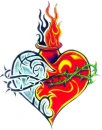 Fire Water Heart