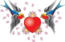Swallows Heart