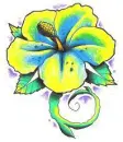 Yellow Blue Flower