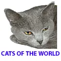 cats of the world