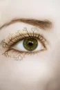 eye tree