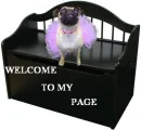 pug