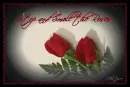 Stop and Smell the Roses
