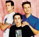 Blink 182 Rocks!!!