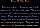 Year of the rat