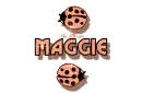orange traveling ladybugs maggie