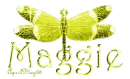 yellow dragonfly maggie