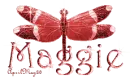 red dragonfly maggie