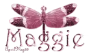 pink dragonfly maggie