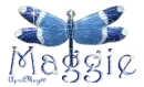 blue dragonfly maggie