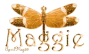 orange dragonfly maggie