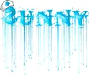 Sunny