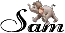 Sam