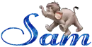 Sam