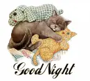GoodNight