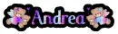 Andera