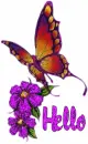 Hello