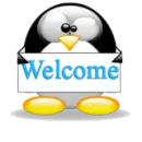 welcome.penguin