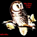 gaves a hoot