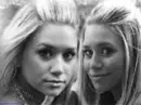 ashley XD