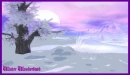 Tree Scenery