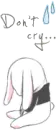 DON'T CRY